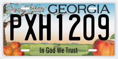 GA license plate PXH1209
