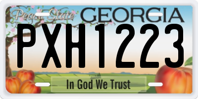 GA license plate PXH1223