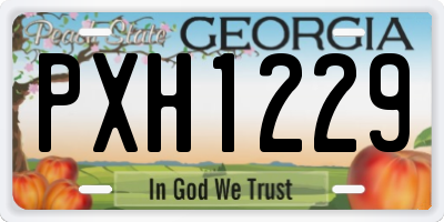 GA license plate PXH1229