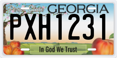 GA license plate PXH1231