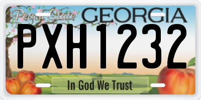 GA license plate PXH1232