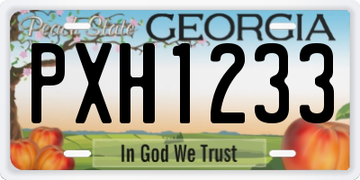GA license plate PXH1233