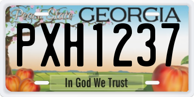 GA license plate PXH1237