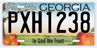 GA license plate PXH1238