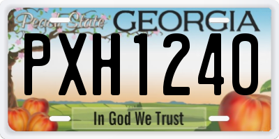 GA license plate PXH1240