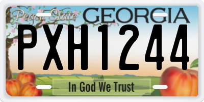 GA license plate PXH1244