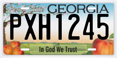 GA license plate PXH1245