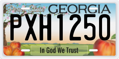 GA license plate PXH1250