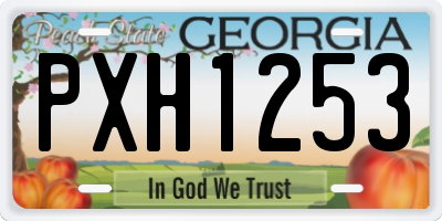 GA license plate PXH1253