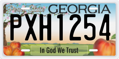 GA license plate PXH1254