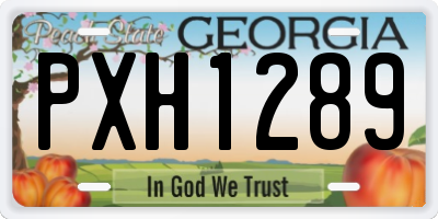 GA license plate PXH1289