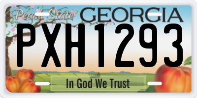 GA license plate PXH1293
