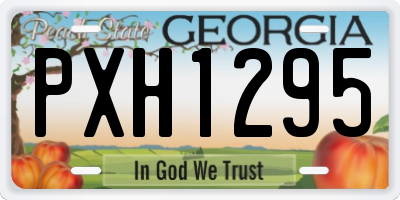 GA license plate PXH1295