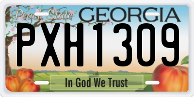 GA license plate PXH1309