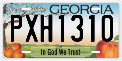 GA license plate PXH1310