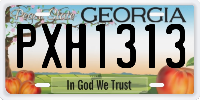 GA license plate PXH1313