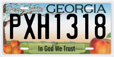 GA license plate PXH1318
