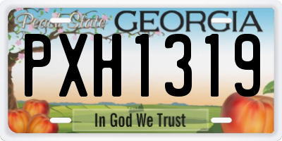 GA license plate PXH1319