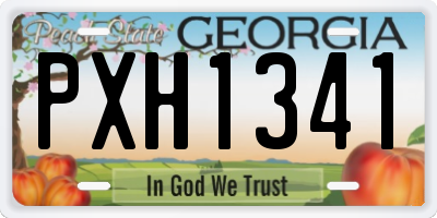 GA license plate PXH1341
