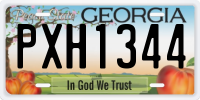 GA license plate PXH1344