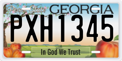 GA license plate PXH1345