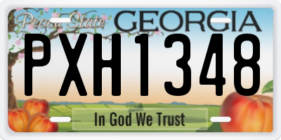 GA license plate PXH1348