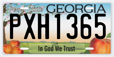GA license plate PXH1365