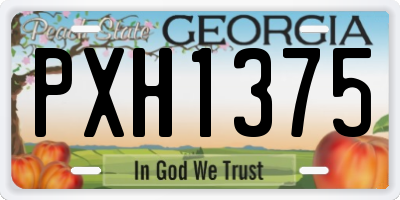 GA license plate PXH1375