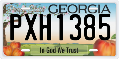 GA license plate PXH1385