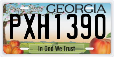 GA license plate PXH1390