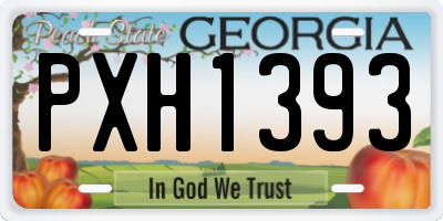 GA license plate PXH1393