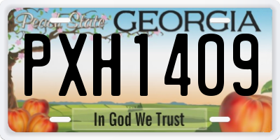 GA license plate PXH1409