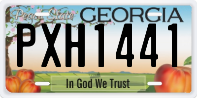 GA license plate PXH1441