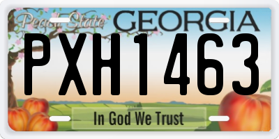 GA license plate PXH1463