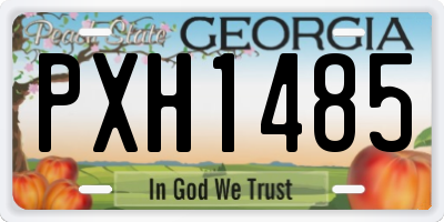 GA license plate PXH1485