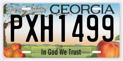 GA license plate PXH1499