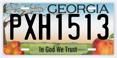 GA license plate PXH1513