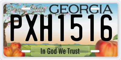 GA license plate PXH1516