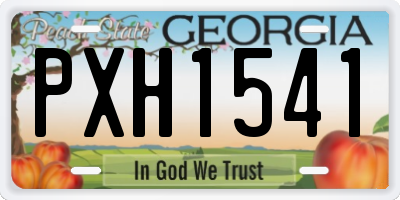 GA license plate PXH1541