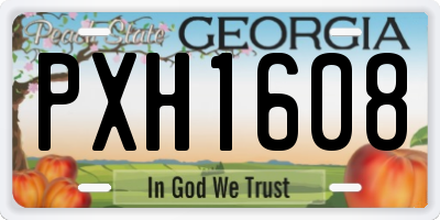 GA license plate PXH1608