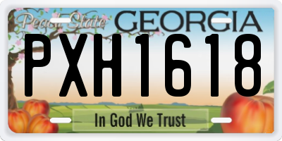 GA license plate PXH1618