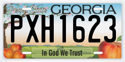GA license plate PXH1623