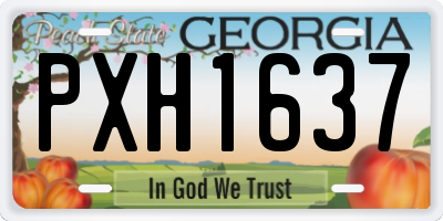GA license plate PXH1637