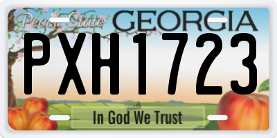 GA license plate PXH1723