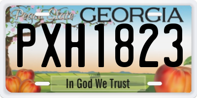 GA license plate PXH1823