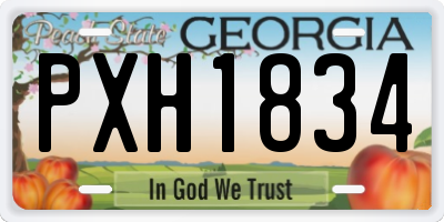 GA license plate PXH1834