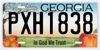 GA license plate PXH1838