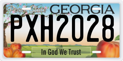 GA license plate PXH2028