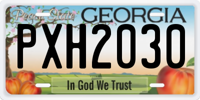 GA license plate PXH2030