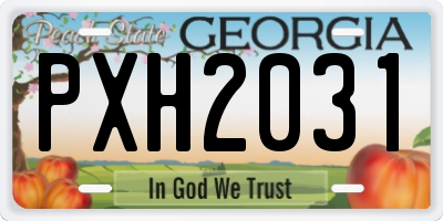 GA license plate PXH2031